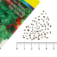 Семена Петрушка &laquo;Обыкновенная Листовая&raquo;, среднеспелая, 1.5 г, &laquo;Артикул&raquo;