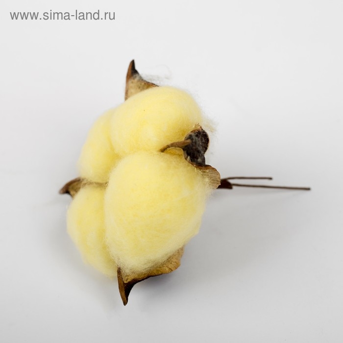 Сухие цветы хлопка, набор 3 шт., размер 1 шт. 6 × 6 см, цвет жёлтый Сухие цветы хлопка, набор 3 шт., размер 1 шт. 6 × 6 см, цвет жёлтый