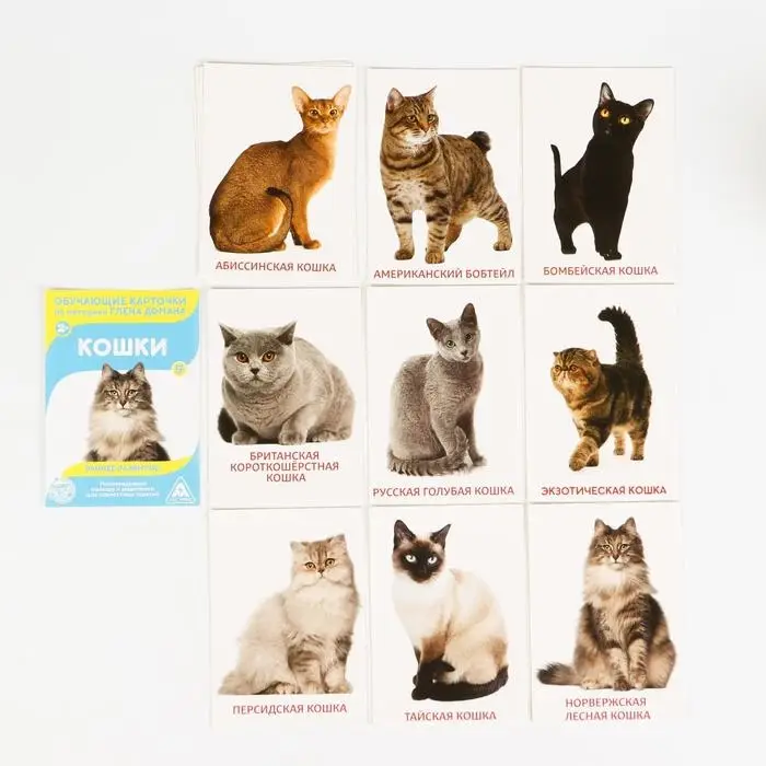 Обучающие карточки по методике Глена Домана «Расширяем кругозор», 10 штук, 2+, МИКС Обучающие карточки по методике Глена Домана «Расширяем кругозор», 10 штук, 2+, МИКС