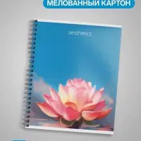 Тетрадь 96 листов в клетку, на гребне, Эстетика, МИКС