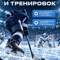 Шайба хоккейная Winter Star, взрослая, d=7.6 см