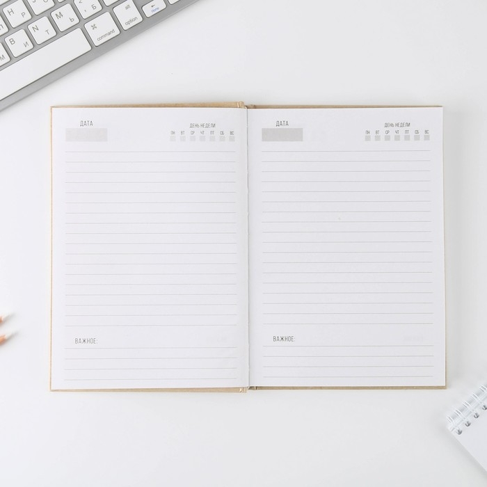 Ежедневник «Товарищ, мысль свою запиши, план выполни» А5, 80 листов Ежедневник «Товарищ, мысль свою запиши, план выполни» А5, 80 листов