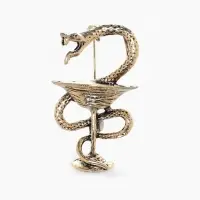 Брошь &laquo;Змея в геральдике&raquo;, медицина, цвет чернёное золото