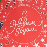 Пакет подарочный новогодний ламинированный «Снежинки», MS 18 х 23 х 10 см