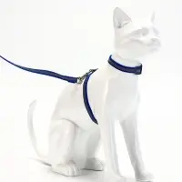 Комплект для кошек, шлейка 21-35 см, ширина 1 см, поводок 120 см, светоотражающий, синий