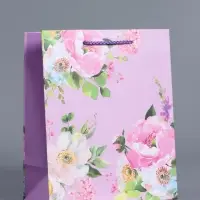 Пакет подарочный ламинированный "Радость" 18 х 22,3 х 10 см