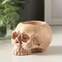 Подсвечник "Череп" эффект состаривания, слоновая кость