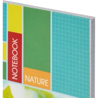 Бизнес-тетрадь Attache,96л,клет,А4,спир,обл.мел.карт