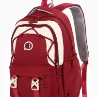 Рюкзак школьный, 3 кармана, 2 отделения, 29&times;14&times;44 см, бордовый