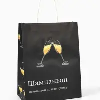 Пакет бумажный подарочный новогодний крафт, &laquo;Шампаньон&raquo;, 27&times;21&times;11 см