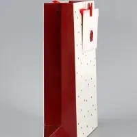 Пакет ламинированный &laquo;Важный момент&raquo;, 22.3&times;9&times;35 см