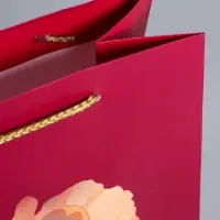 Пакет подарочный ламинированный &laquo;Пион&raquo;, бордовый, 18&times;22.3&times;10 см