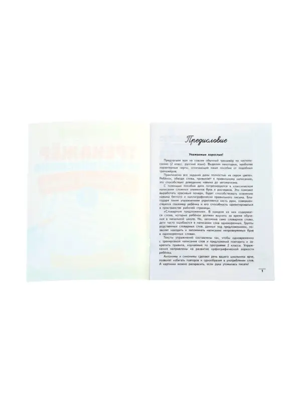 Тренажер по чистописанию. Русский язык, 2 класс, Субботина Е.А. 2025