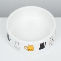 Миска керамическая "Котяры" 300 мл  12,5 x 4,5 cм, белая