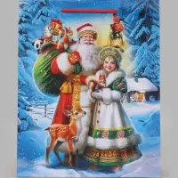 Пакет подарочный &laquo;Дед Мороз и Снегурочка&raquo;, 26&times;12&times;32 см
