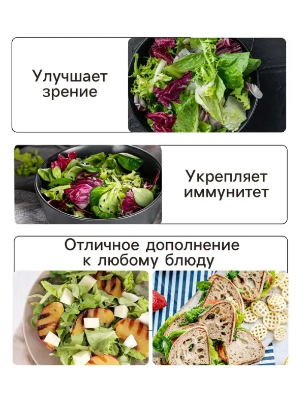 Семена Салат листовой  Семена Салат листовой "Азарт",0,5 г