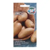 Семена Картофель  "Милена "0.02 г
