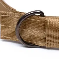 Ошейник с мягкой подкладкой, 67&times;4 см, ОШ 43-53 см, песочный