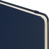 Бизнес-блокнот Attache А5 (148x218 мм), ЭССЕ,балакр,80л.,резин,клетка,синий