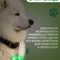 Маячок-адресник &laquo;Косточка&raquo;, с наклейкой под записку, 3 режима свечения, пластик, металл, зелёный