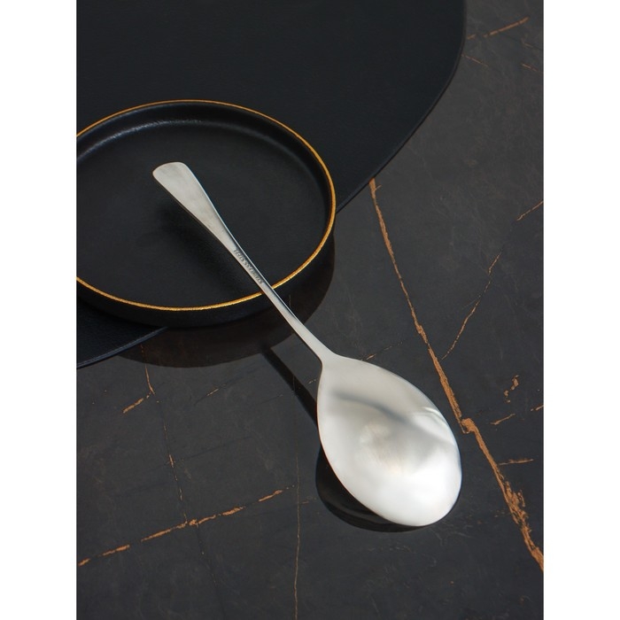 Ложка гарнирная из нержавеющей стали Доляна, h=25 см, толщина 2,2 мм, 410 сталь Ложка гарнирная из нержавеющей стали Доляна, h=25 см, толщина 2,2 мм, 410 сталь