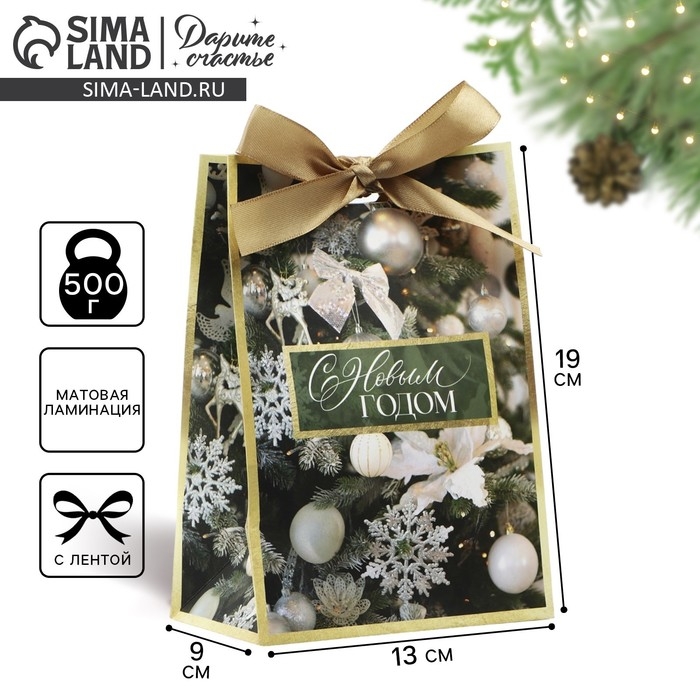 Пакет подарочный новогодний с лентой «Зима», 13 х 19 х 9 см Пакет подарочный новогодний с лентой «Зима», 13 х 19 х 9 см