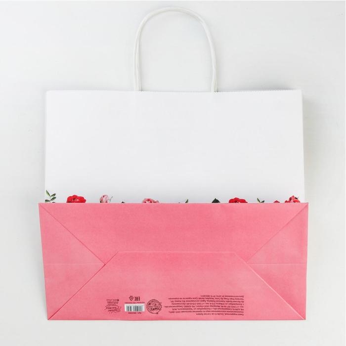 Пакет подарочный крафт, упаковка, «Мечтай», 32 х 28 х 15 см Пакет подарочный крафт, упаковка, «Мечтай», 32 х 28 х 15 см