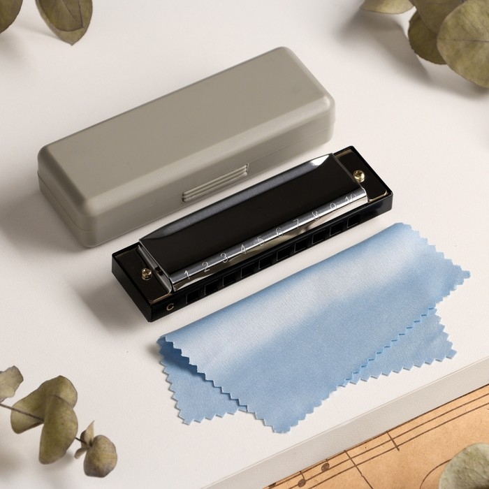 Губная гармошка Music Life T10-4 диатоническая, 10 отверстий, с футляром Губная гармошка Music Life T10-4 диатоническая, 10 отверстий, с футляром