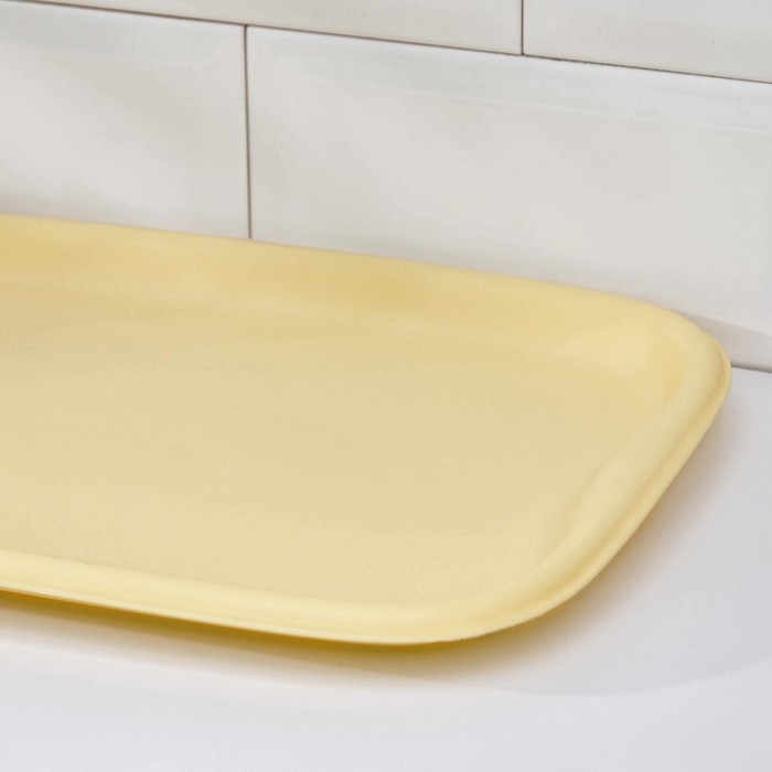 Поднос «Эгоист», 40,6×26,6 см, цвет МИКС Поднос «Эгоист», 40,6×26,6 см, цвет МИКС