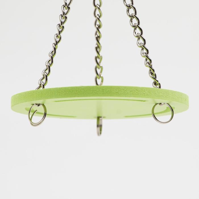 Качели для грызунов круглая на цепочках, 8,5 х 7 см, вспененный ПВХ, зелёные Качели для грызунов круглая на цепочках, 8,5 х 7 см, вспененный ПВХ, зелёные