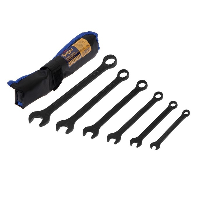 Набор ключей комбинированных в сумке ТУНДРА, фосфатированные, 6 - 17 мм, 6 шт. Набор ключей комбинированных в сумке ТУНДРА, фосфатированные, 6 - 17 мм, 6 шт.