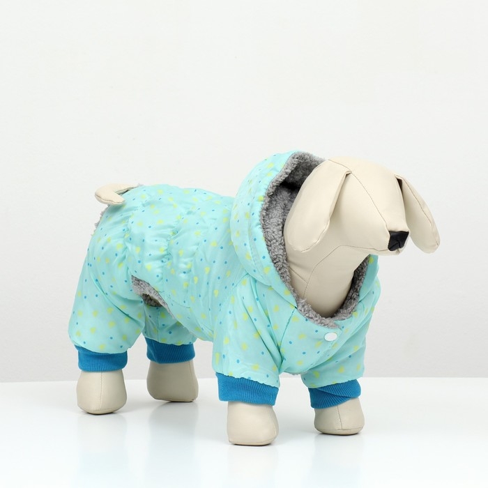 Комбинезон  Комбинезон "нежный путь" на меховом подкладе, размер XL (ДС 40, ОШ 40, ОГ 50 см), голубой