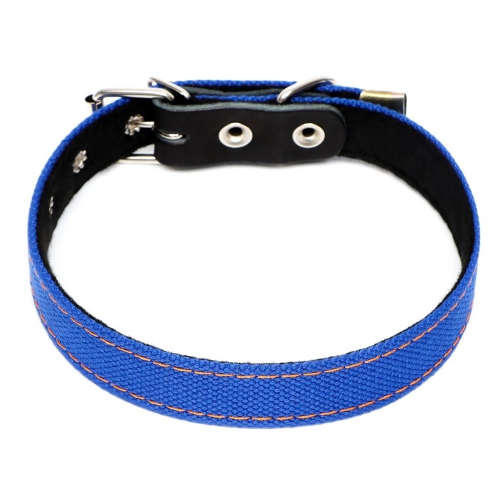 Ошейник брезентовый с подкладом, 57 х 2,5 см, ОШ 35-45 см, синий Ошейник брезентовый с подкладом, 57 х 2,5 см, ОШ 35-45 см, синий