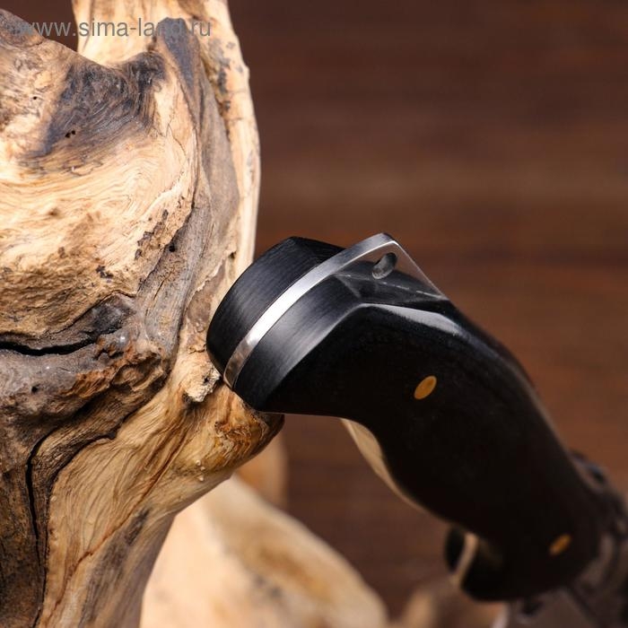 Нож охотничий  Нож охотничий "Сарыч" сталь - 50х14, рукоять - дерево, 25 см