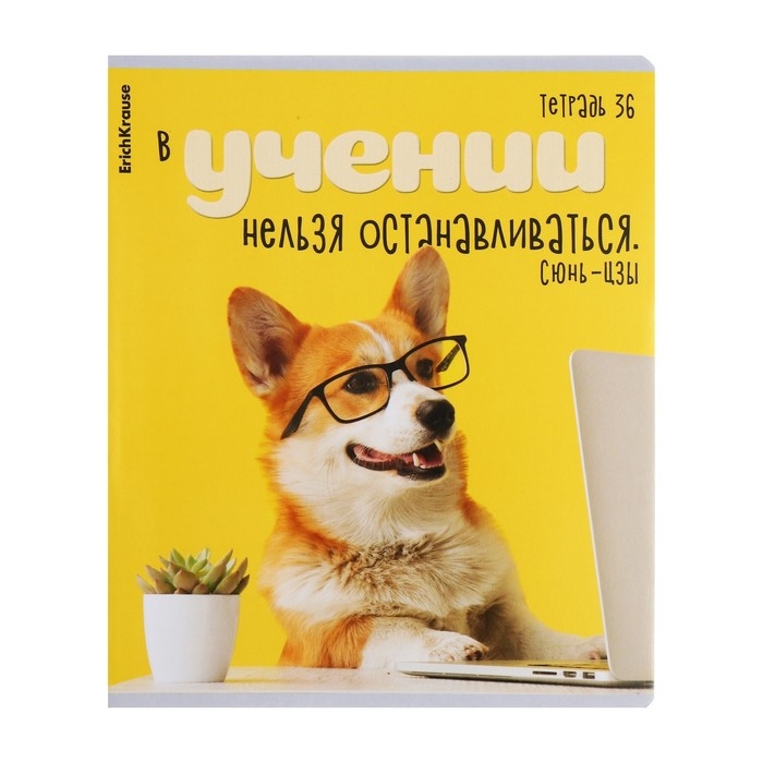 Тетрадь 36 листов в клетку, ErichKrause "Ученые собаки", обложка мелованный картон, блок офсет 100% белизна, МИКС