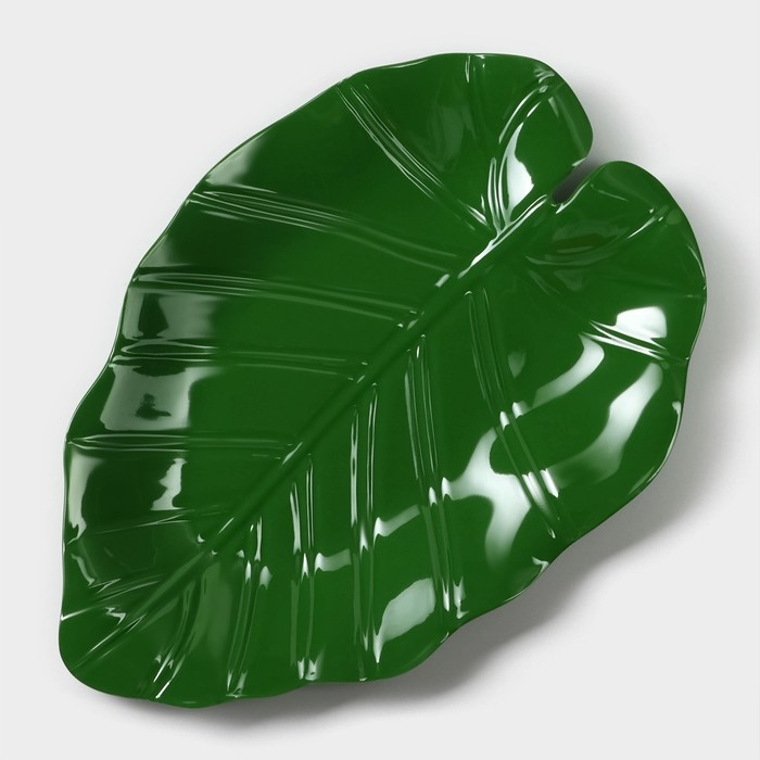 Блюдо для подачи «Лист», 25×17×2 см, цвет зелёный Блюдо для подачи «Лист», 25×17×2 см, цвет зелёный