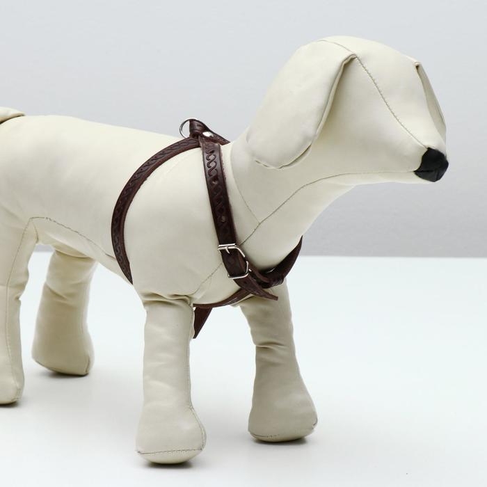 Шлейка кожаная для кошек и маленьких собак,ОШ19-30 см,ОГ 25-37 см,1.2 см, микс видов, цветов Шлейка кожаная для кошек и маленьких собак,ОШ19-30 см,ОГ 25-37 см,1.2 см, микс видов, цветов