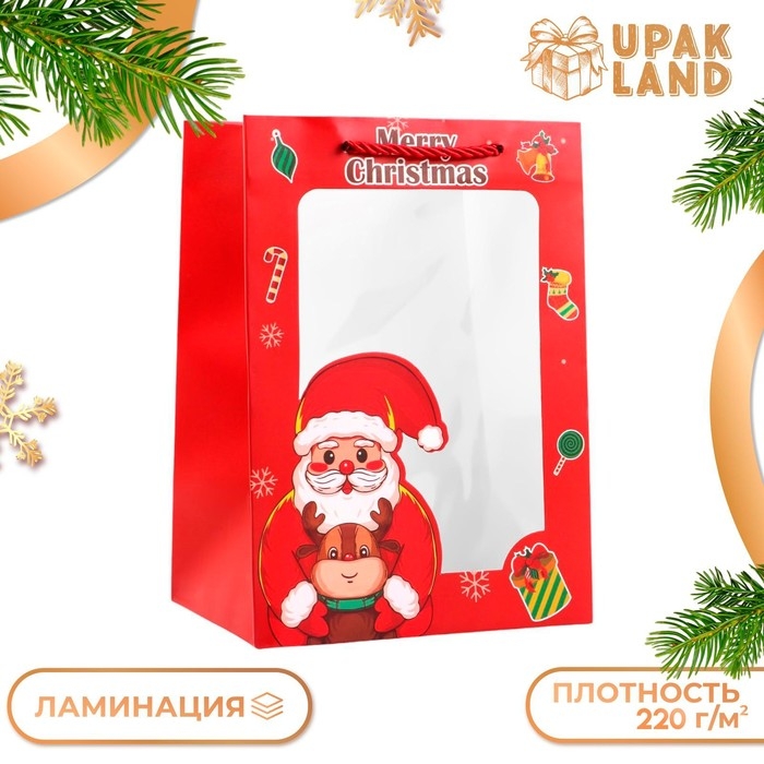 Пакет подарочный новогодний с окном Пакет подарочный новогодний с окном"Дед мороз", 18 х 25 х 13 см.