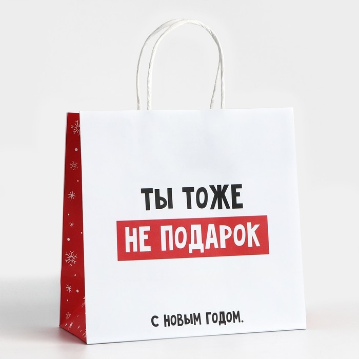 Пакет подарочный новогодний «Ты тоже не подарок», 22 х 22 х 11 см Пакет подарочный новогодний «Ты тоже не подарок», 22 х 22 х 11 см