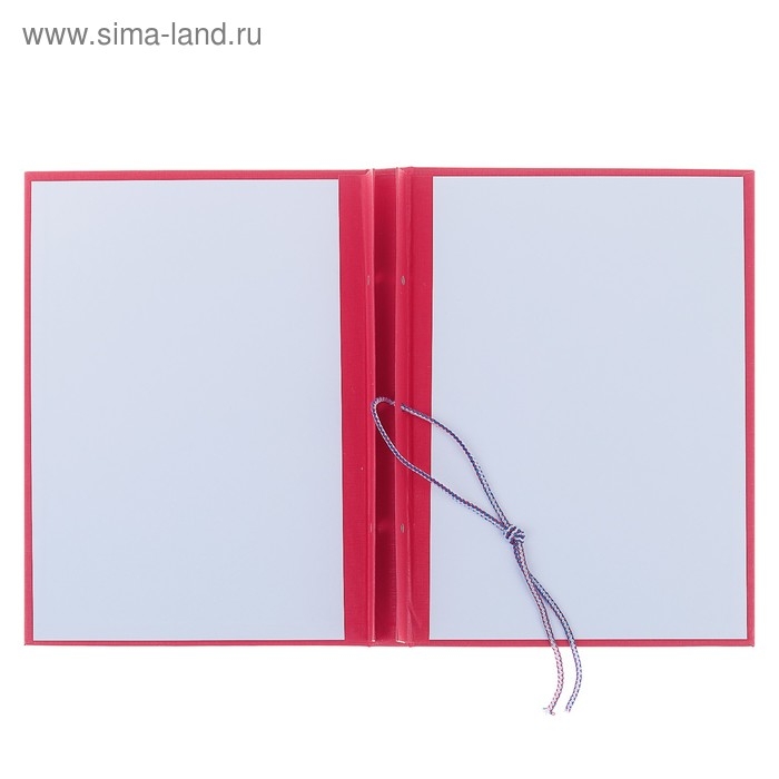 Папка Папка "Магистерская диссертация" бумвинил, гребешки/сутаж, без бумаги, цвет красный (вместимость до 300 листов)