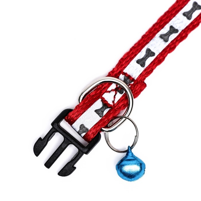 Ошейник светоотражающий с лапками 30 х 1 см, капрон, микс цветов Ошейник светоотражающий с лапками 30 х 1 см, капрон, микс цветов