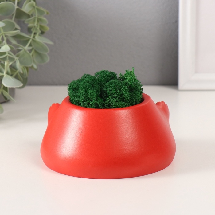 Кашпо бетонное  Кашпо бетонное "Злобный смех" со мхом 6,5*12,5см красный (мох зеленый стабилизированный)