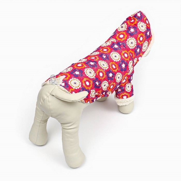 Куртка для животных, мембранная ткань + иск. мех, размер XS Куртка для животных, мембранная ткань + иск. мех, размер XS