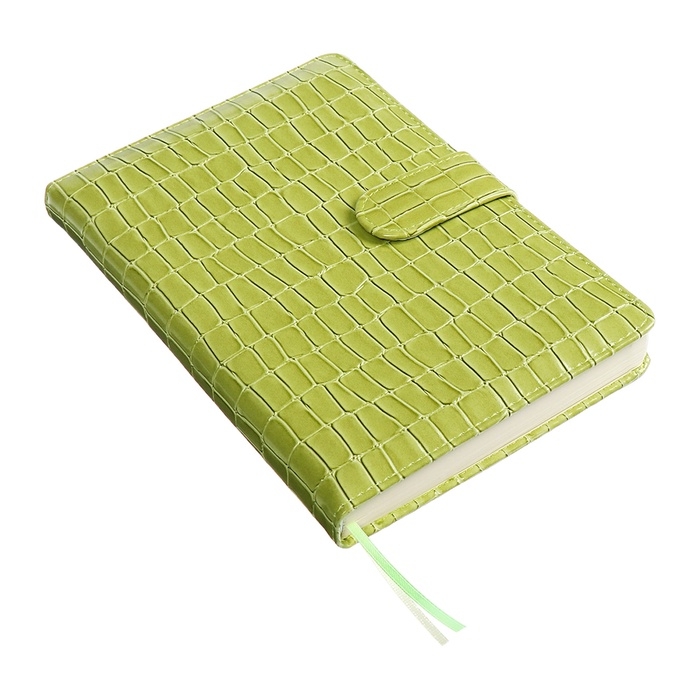 Ежедневник датированный 2025 года, A5, 168 листов, deVENTE. Barbara, твердая обложка кожзам с поролоном, перфорацией, ляссе, блок 70, зеленый Ежедневник датированный 2025 года, A5, 168 листов, deVENTE. Barbara, твердая обложка кожзам с поролоном, перфорацией, ляссе, блок 70, зеленый