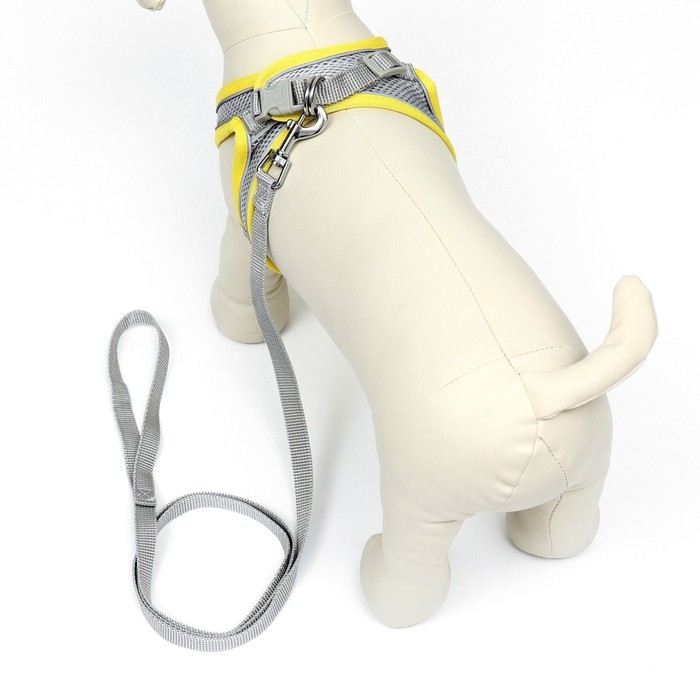 Комплект с мягкой шлейкой, быстросъемный, M, поводок 150 х 1,5 см, ОШ 38-44 см, ОГ 44-50 см, жёлтый Комплект с мягкой шлейкой, быстросъемный, M, поводок 150 х 1,5 см, ОШ 38-44 см, ОГ 44-50 см, жёлтый