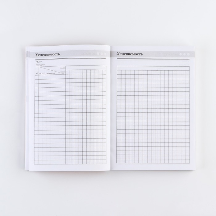 Ежедневник «Золотому учителю», формат А5, 160 листов, мягкая обложка Ежедневник «Золотому учителю», формат А5, 160 листов, мягкая обложка