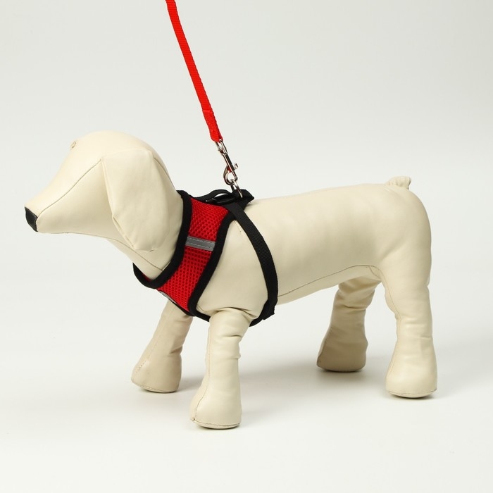 Комплект амуниции с мягкой шлейкой и светоотражающей нашивкой, XL, ОШ 40 см, ОГ 46-60 см, красный 76 Комплект амуниции с мягкой шлейкой и светоотражающей нашивкой, XL, ОШ 40 см, ОГ 46-60 см, красный 76