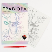 Гравюра. Набор гравюр «Звери», А5, 4 шт