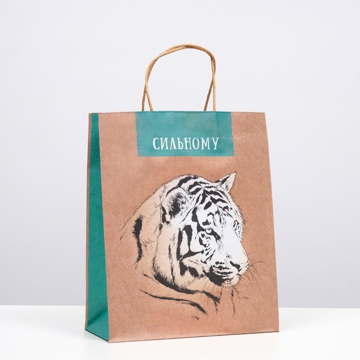 Пакет подарочный Пакет подарочный "Сильному" 26 х 32 х 12 см