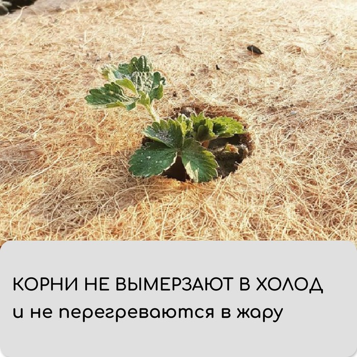 Кокосовое полотно для мульчирования, 3 × 1 м, «Мульчаграм» Кокосовое полотно для мульчирования, 3 × 1 м, «Мульчаграм»
